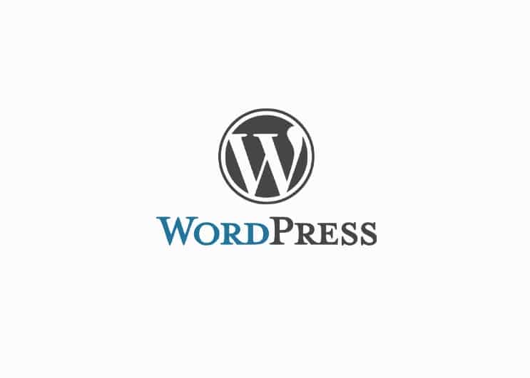 WORDPRESS WEBSITE BUILDER